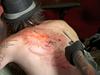 Foto: Mojstri tetoviranja se bodo prvič zbrali tudi v Sloveniji