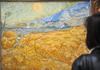 Nova biografija in nova teorija o tem, da je bil van Gogh umorjen