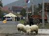 V streljanju na severu Kosova ubili Srba