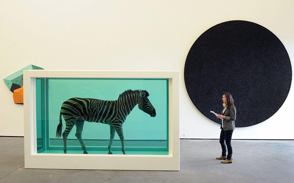 Zebra v formaldehidu, umetniško delo Damiena Hirsta z naslovom The Incredible Journey. Foto: EPA