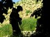 Znano ime vojaka, ki naj bi v Afganistanu ubil 16 civilistov