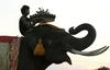 Preplah na Tajskem: slonji rilci na krožnikih?