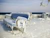 Foto: Mraz vzel nova življenja, Evropo čakajo še nižje temperature