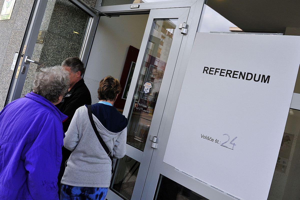 Pirnat dopušča le teoretično možnost referenduma o prodaji 15 državnih podjetij. Foto: BoBo