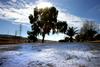 Slovenija se kopa v soncu, Južnoafriško republiko pa je prebelil sneg