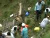 Prenatrpan avtobus zgrmel v sotesko, umrlo 52 ljudi