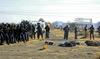 Foto: Policisti v Južnoafriški republiki ubili 36 stavkajočih rudarjev