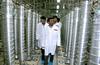 Iran podvojil število centrifug in povečal količino obogatenega urana