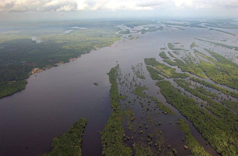 Amazonski pragozd je največji gozdni ekosistem na svetu. Foto: EPA