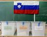 Virant: Spremembe referendumske ureditve imajo ustavno večino