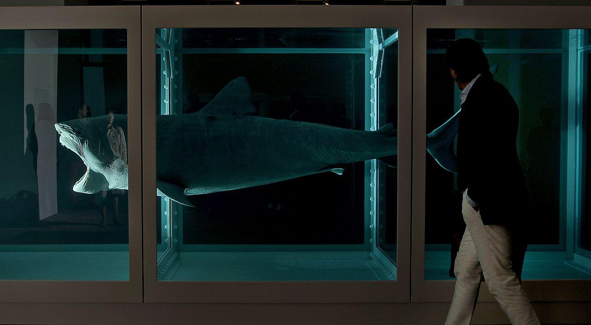 Eno izmed ključnih del razstave je več metrov dolg morski pes v steklenem zaboju, napolnjenim s formaldehidom, ki velja za eno ključnih del britanske sodobne umetnosti. Foto: EPA