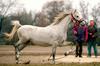 Kobilarna Lipica: Poginila dva konja, tretjega zdravijo
