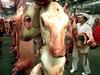 Prepoved klanja živali brez omamljanja in cirkusov z živalmi