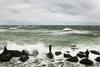 Foto: Orkan Sandy ogroža 60 milijonov ljudi
