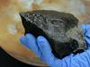 Najdragocenejši izmed tisoč dunajskih meteoritov vreden pol milijona evrov