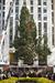 Foto: Veseli december trka na vrata, božično drevo že stoji v New Yorku