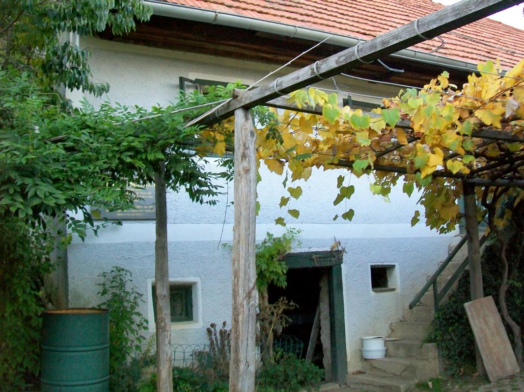 Rojstna hiša Franja Malgaja v Hruševcu pri Šentjurju. Objekt je pod spomeniškim varstvom. Foto: Rok Omahen
