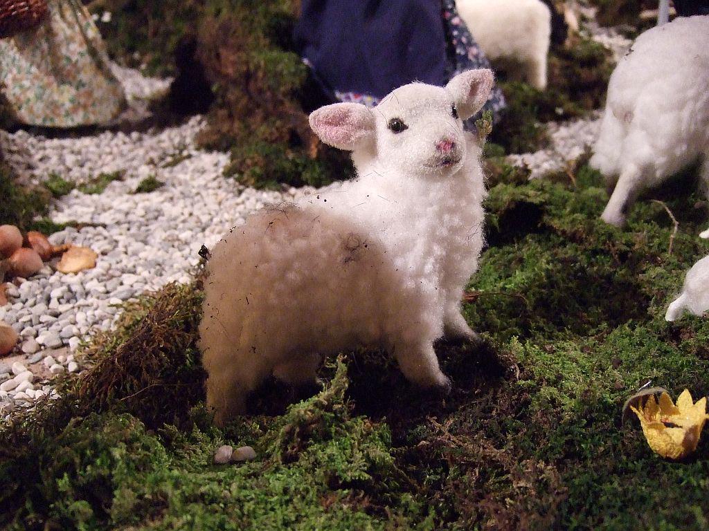 Brike pravijo, da ima ta ovčka vsaj sto let. Foto: Katja Kogej