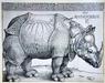Najdragocenejša zbirka Dürerjevih grafik na trgu