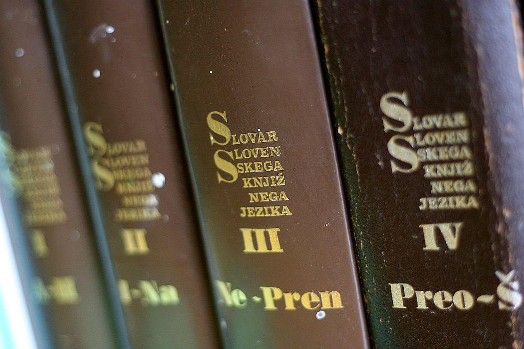 Izdelava Slovarja slovenskega knjižnega jezika je trajala okrog 20 let, celoten projekt slovarja sodobnega slovenskega jezika pa bi lahko končali v petih letih. Foto: BoBo