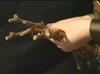 Video: Najstarejša trta na svetu je v dobri kondiciji