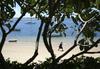 Foto: Rajski kenijski otok Lamu, kjer se je čas ustavil