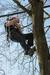Foto: Jamarji tekmovali v plezanju s prižemami po vrvi
