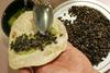 Žuželke na jedilniku bi bile lahko rešitev za prehransko krizo