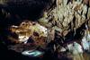 Škocjanske jame z rekordnim stotisočim obiskovalcem