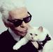 Karl Lagerfeld: Če bi lahko, bi se poročil s svojo mačko