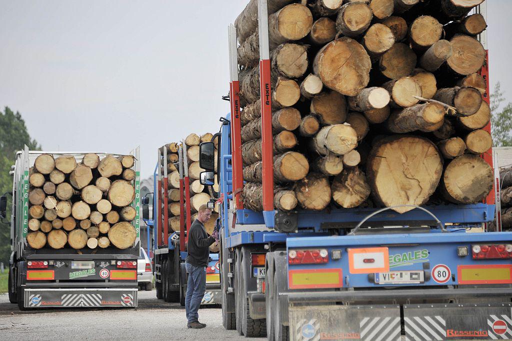 Slovenska lesna industrija je panoga, ki smo jo v zadnjih 20 letih povsem uničili, ima pa velik potencial. Tega se zaveda tudi gospodarski minister Zdravko Počivalšek. Vlada bo zato po njegovih besedah skušala ustvariti razmere za oživitev panoge, prvi korak v tej smeri pa bo ustanovitev direktorata za les. Foto: BoBo