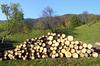 Okoli 30 odstotkov slovenskih gospodinjstev za kurjavo uporablja drva