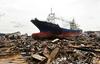 Japonska bo odstranila naplavljeno ladjo, simbol uničujočega cunamija