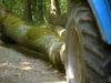 75-letni voznik traktorja umrl med delom v gozdu