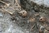 Arheologi v prikritem grobišču izkopali 150 posmrtnih ostankov