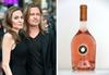 Rose družine Jolie-Pitt razglašen za enega najboljših na svetu