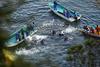 Na Japonskem so začeli vsakoletni množični poboj delfinov