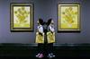 Po 67 letih znova na ogled dve platni van Goghovih Sončnic
