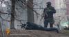 Kijev: Streljanje na protestnike je ukazal Janukovič