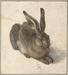 Dürerjev zajec in zgodba o strasti dunajskega zbirateljskega para