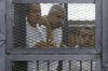Trije novinarji Al Džazire v Egiptu obsojeni na zaporne kazni
