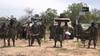 Domnevni pripadniki Boko Harama na severu Nigerije ugrabili 40 fantov