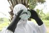 Liberija bo prejela nepreizkušeno poskusno zdravilo za ebolo