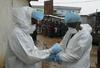 So znanstveniki pred vrati preboja v boju z ebolo?