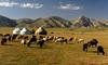 Tja, kamor gre tudi (kirgiški) nomad peš