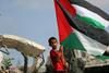 Erjavec: Vprašanje Palestine naj obravnava vlada, in ne stranke