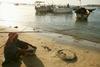 V Rdečem morju na poti v Jemen utonilo 70 prebežnikov