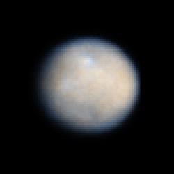 Najboljši posnetek slabih 1.000 kilometrov velike Cerere, nastal na vesoljskem teleskopu Hubble. Na začetku maja bo Dawn predvidoma začel pošiljati fotografije, ki bodo pričujočo kakovost presegle. Foto: NASA, ESA, J. Parker (Southwest Research Institute)