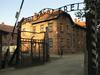 Številne slovesnosti ob dnevu spomina na žrtve holokavsta