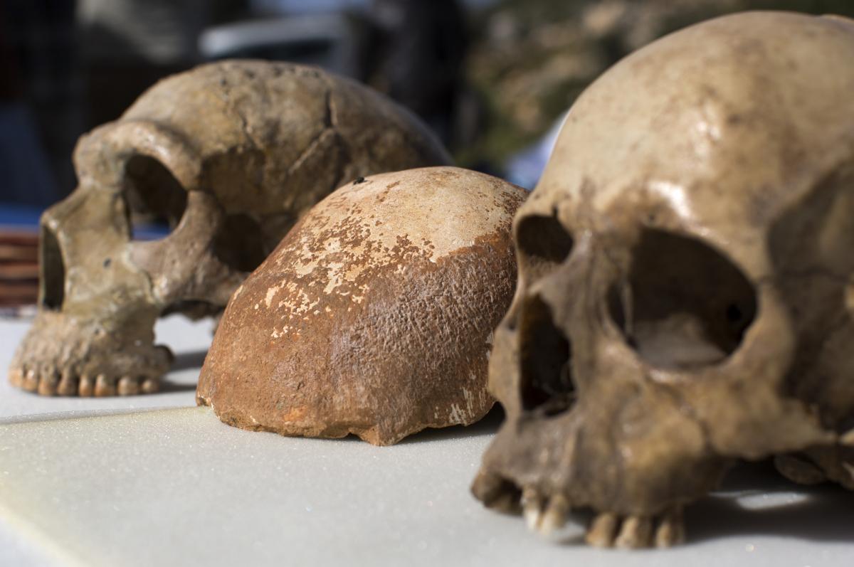 Lobanja, ki so jo našli (oziroma njen del) na severu Izraela, je stara 55.000 let. Foto: EPA